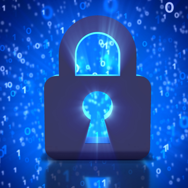 Nos solutions placement